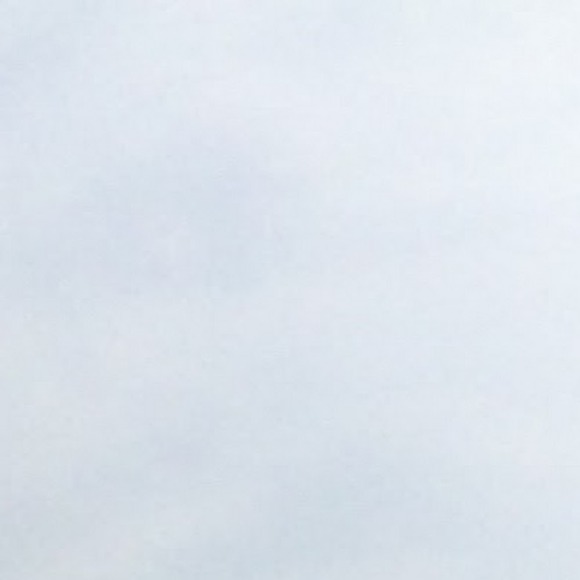 Meet your Posher, Sophie - Picture 1 of 1